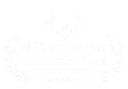 Turn Based Fest