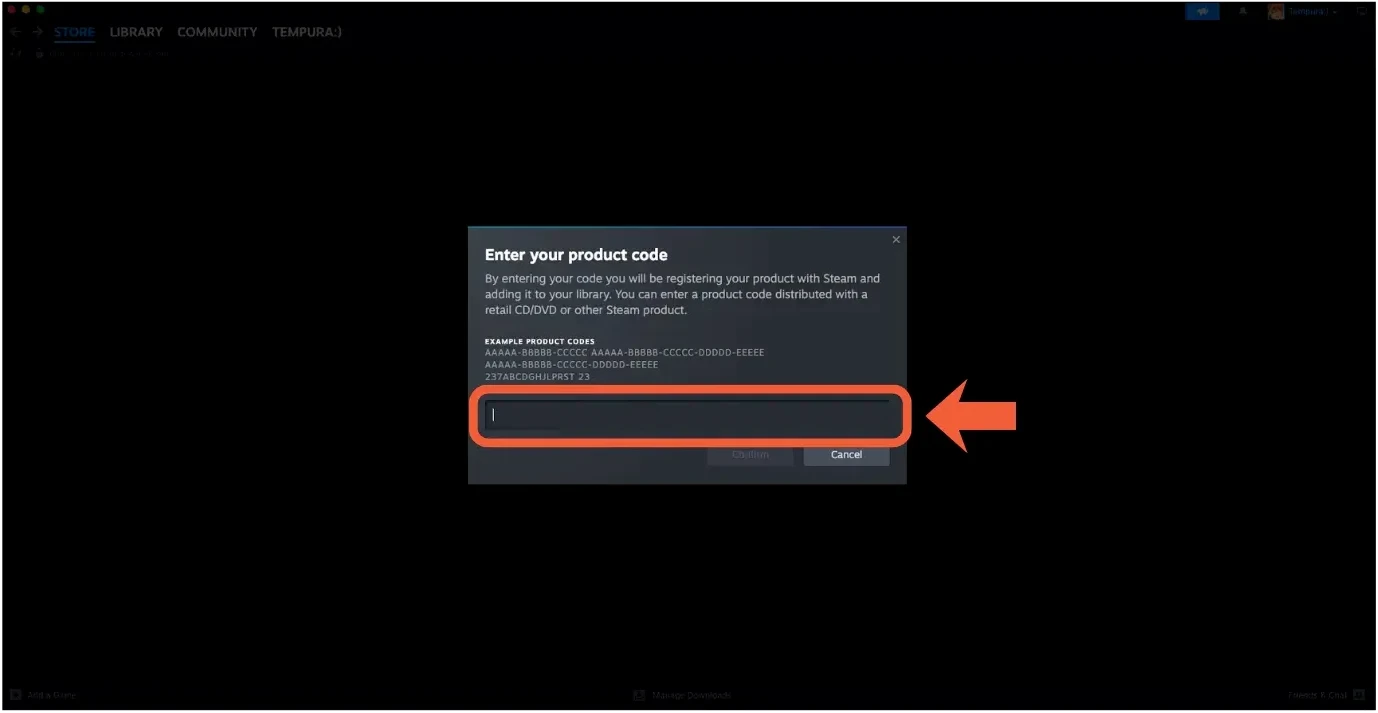 Step 3 in Steam: Enter Your Steam Key