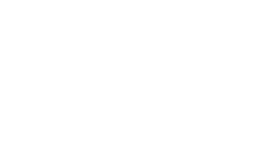 www.singularsunshine.studio